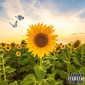 Lil Sunflower (Explicit)