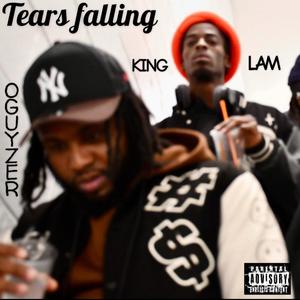 Tears Falling (feat. King Lam) (Explicit)