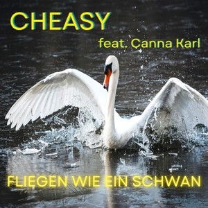 Fliegen wie ein Schwan
