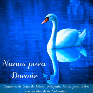 Quiero que te duermas (Musica de Flauta)