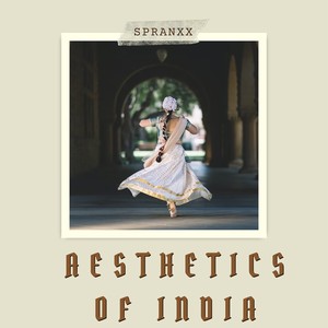 Aesthetics of India