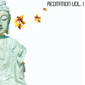 Thirteen Proportions