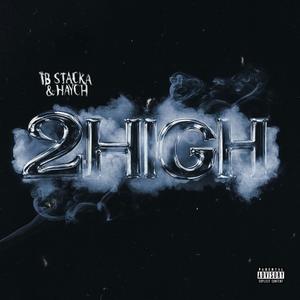 2HIGH (feat. Haych) (Radio Edit)