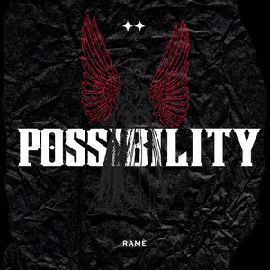 Possibility (Radio Edit)