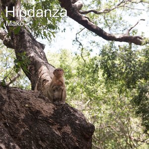 Hipdanza