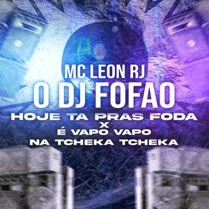 O DJ FOFAO HOJE TA PRAS FODA X É VAPO VAPO (Explicit)