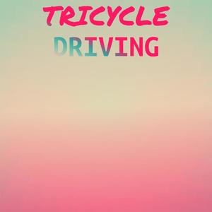 Tricycle Driving
