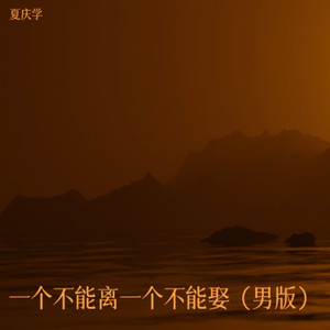 一个不能离一个不能娶 (男版)