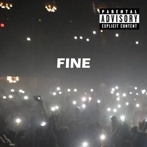 Fine (Explicit)