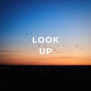 Look Up