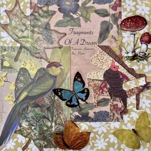 Fragments of a dream