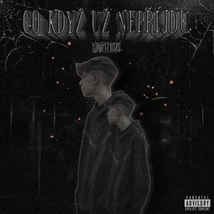 UTDNSM (feat. vpoho)