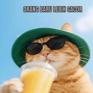 DJ ORANG BARU LEBIH GACOR