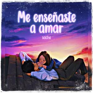 Me enseñaste a amar