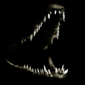 alligator tears (Explicit)