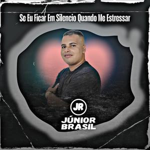 Se Eu Ficar em Silencio Quando Me Estressar