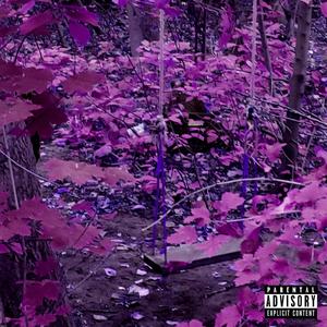 Last Dance (Explicit)