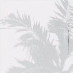 free 免费Rap 黑夜不怕黑