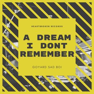 a dream i dont remember (Explicit)