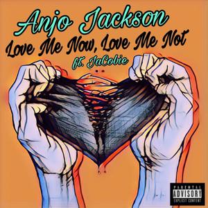 Love Me Now, Love Me Not (feat. JaCobie) [Explicit]