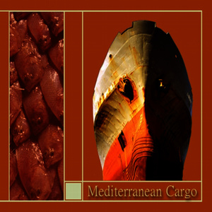 Copponi - Trought the Air