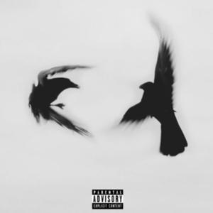 Day that i learn to FLY (feat Young kid) [Explicit]