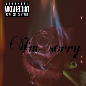 I'm Sorry (Explicit)