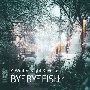 A Winter Night Reverie