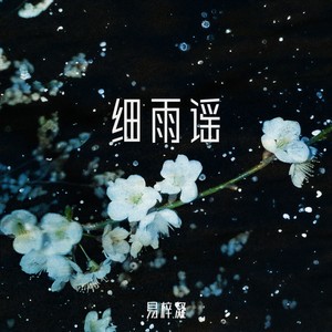 细雨谣