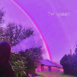 TW spleen (Explicit)