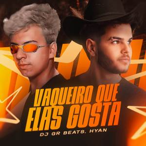 Vaqueiro Que Elas Gosta (Piseiro|Explicit)