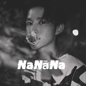 NaNāNa