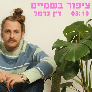 ציפור בשמיים