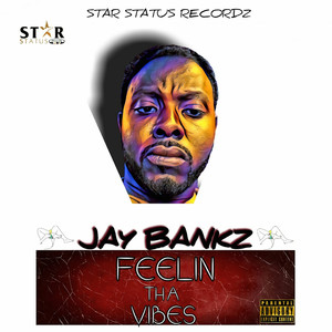 Feelin tha Vibes (Explicit)