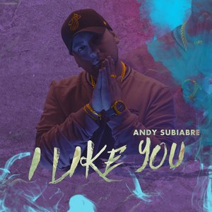 I Like You (Explicit)