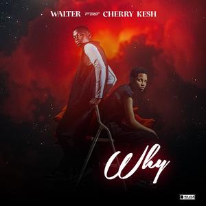 WHY (feat. Cherry Kesh)