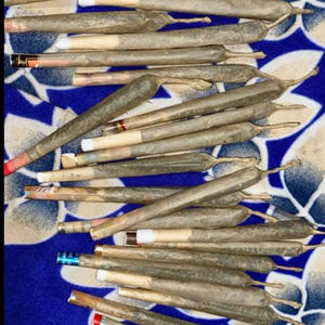 EXOTIC PACK (Explicit)