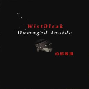 DAMAGED INSIDE (feat. 4lexf) [Explicit]