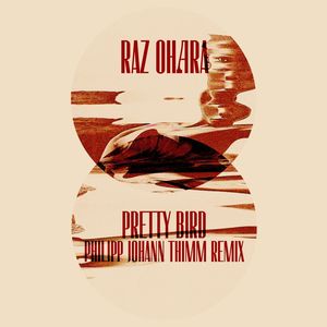 Pretty Bird (Philipp Johann Thimm Remix|Explicit)