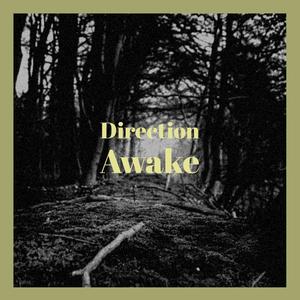 Direction Awake