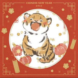 Johnny Boy (remix: Santiano|Remix)