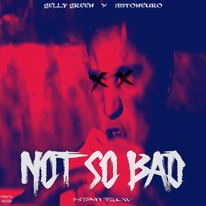 NOT SO BAD (STAN FLOW) (feat. ASTONEURO) [Explicit]