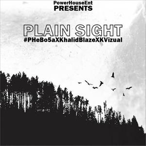 Plain Sight