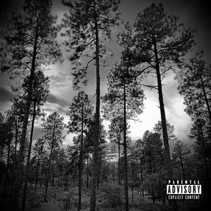 FOREST SPIRITS (Explicit)