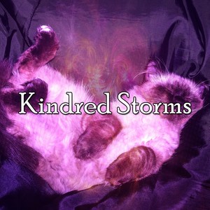 Thundering Rain