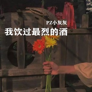 我饮过最烈的酒