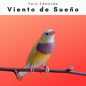 1 Viento de Sueño