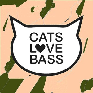 Squawk Condenser (Mikel Ayerra Remix)