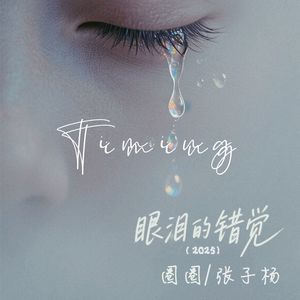 眼泪的错觉 (2025)封面