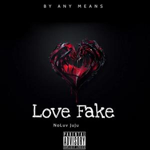 Love Fake (Explicit)